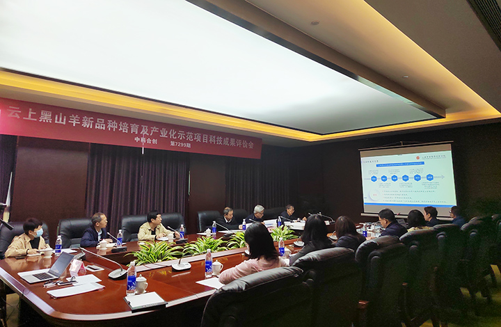 云上黑山羊新品种培育及产业化示范 anli.jpg